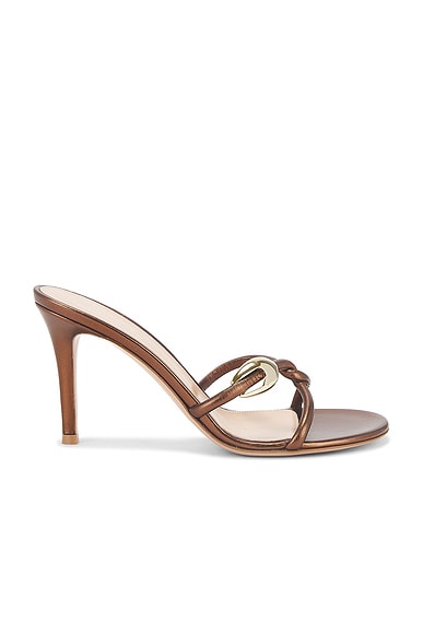 Mule Sandal