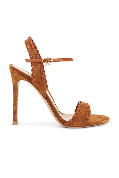 Gianvito Rossi Sandal in Sedona & Luggage
