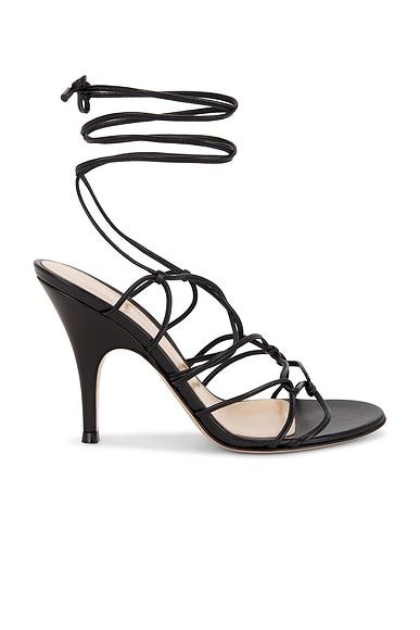 Gianvito Rossi Strappy Sandal in Black