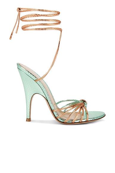 Gianvito Rossi Strappy Sandal in Aloe & Rose Gold