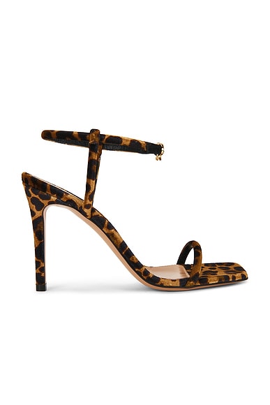 Gianvito Rossi Velluto Strappy Sandal in Leopard Print