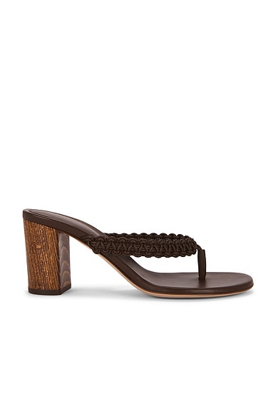 Thong Sandal