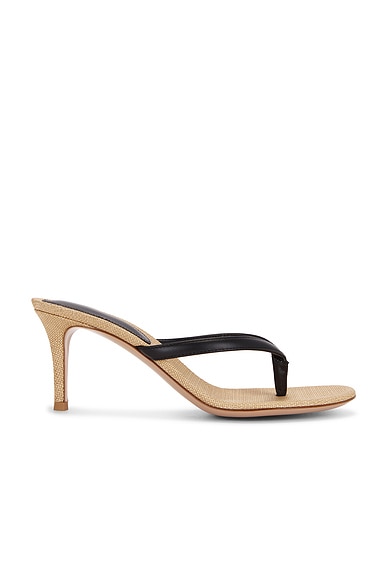 Calypso Sandal