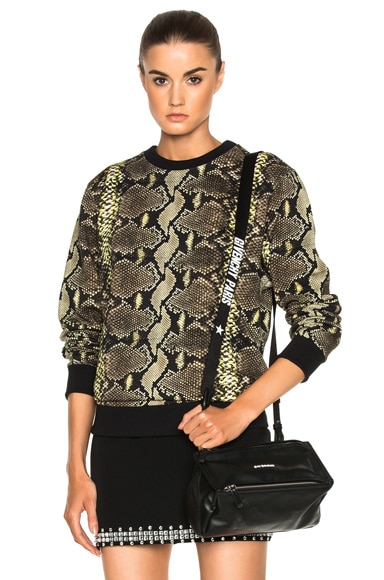Python & Stripe Sweatshirt