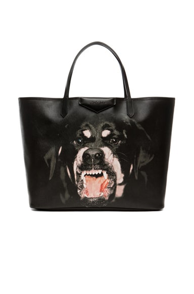 Givenchy Rottweiler Cotton Tee in Black | FWRD
