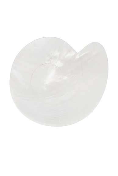 Mother Of Pearl Nautilus Dish