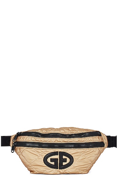 Shiner Fanny Pack In Gold