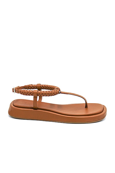 GIA BORGHINI x RHW Flat Thong Sandal in Rustic Brown