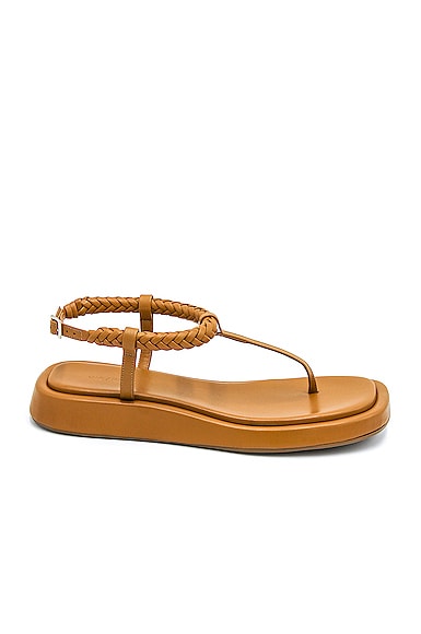 Gia/rhw X Rhw Flat Thong Sandal In Golden Brown