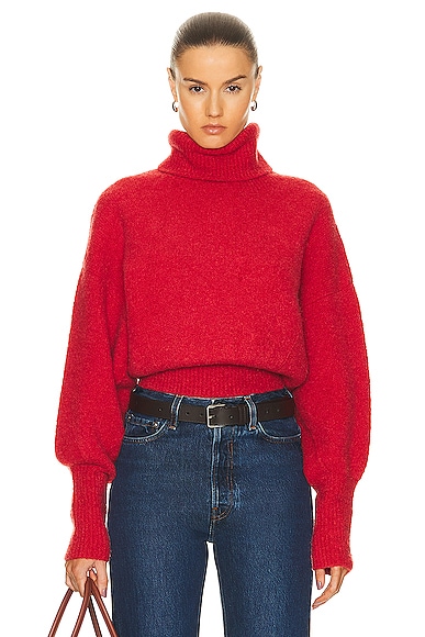 Elya Turtleneck Sweater