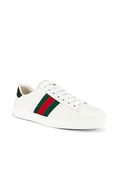 GUCCI NEW ACE SNEAKER,GUCC-MZ18
