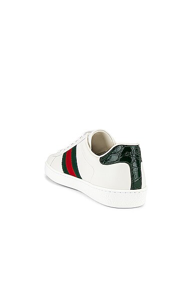 GUCCI NEW ACE SNEAKER,GUCC-MZ18