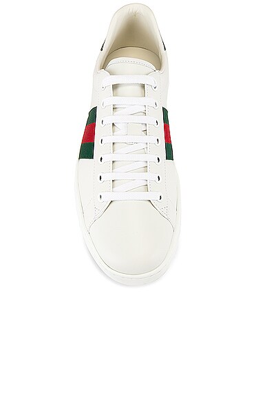 GUCCI NEW ACE SNEAKER,GUCC-MZ18