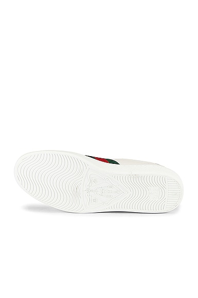 GUCCI NEW ACE SNEAKER,GUCC-MZ18