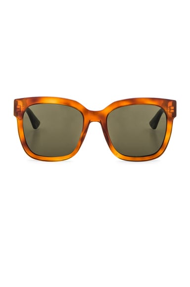 Urban Pop Web Sunglasses