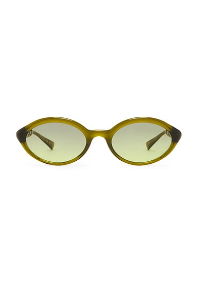 Pop Bamboo Oval Sunglasses