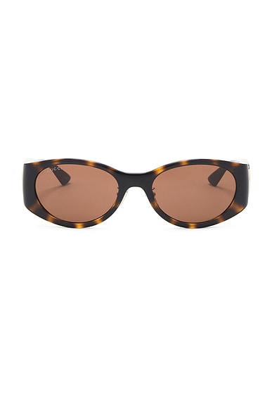 Gucci Hailey Round Sunglasses in Havana & Brown
