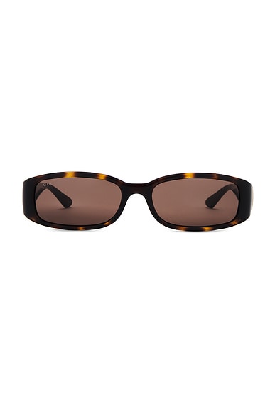 Hailey Sunglasses