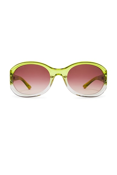 Gucci Oval Acetate Sunglasses in Shiny Gradient Transparent Acid Green & Crystal