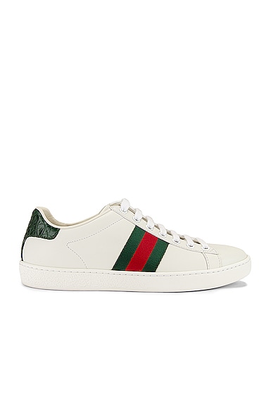 Gucci New Ace Basic Sneakers in White & Green | FWRD
