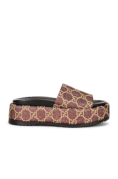 gucci angelina slide