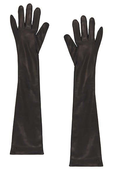Essentials Extra Long Gloves