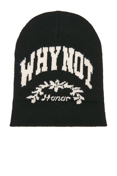 Why Not Beanie
