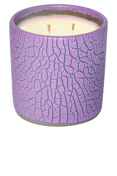 Houseplant Crackle Candle in Purple