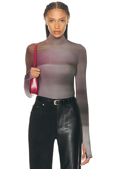 Long Sleeve Turtleneck Ombre Top