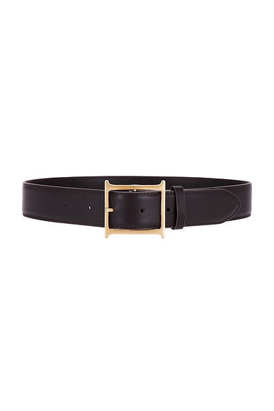 Helsa Logo Belt in Dark Brown