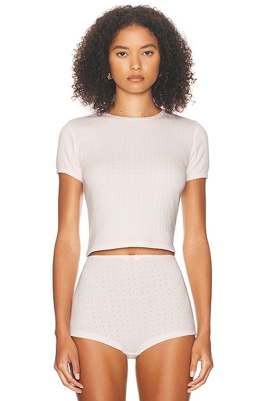 Helsa Pointelle Baby Tee in Barely Pink