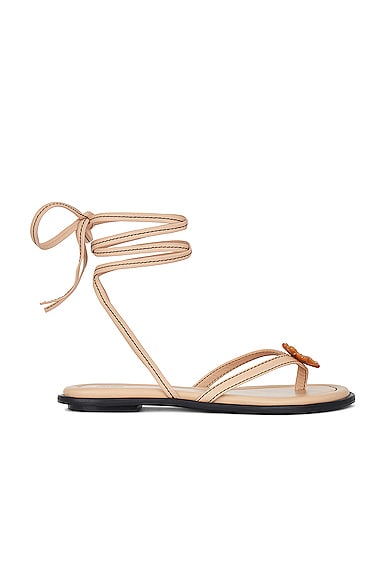 Helsa Lace Up Sandal in Nude