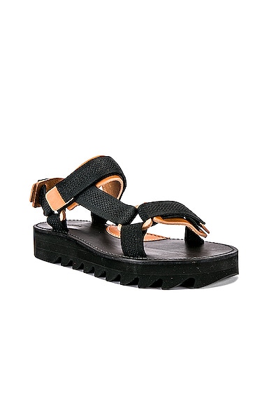 Webb Sandal