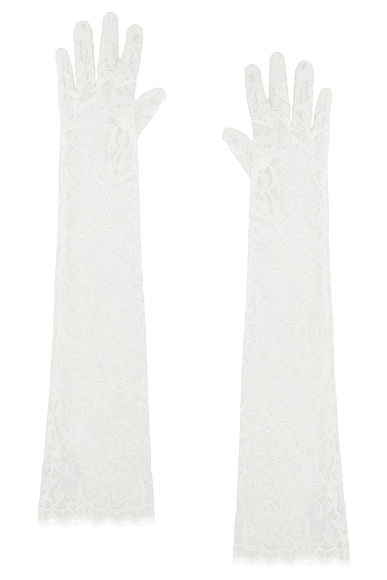 Delia Gloves