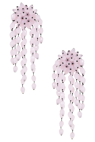 Clip Earrings