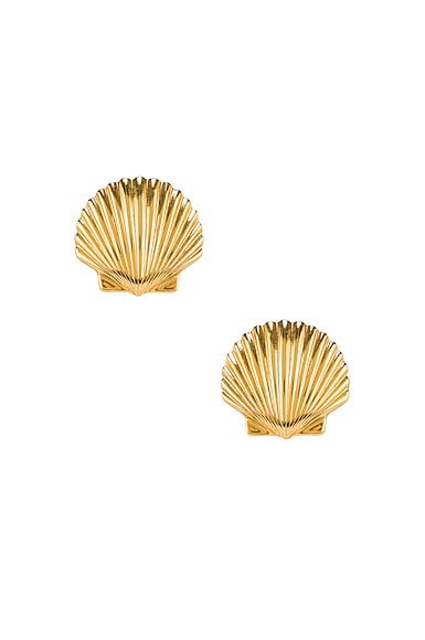 Madeleine Shell Earrings