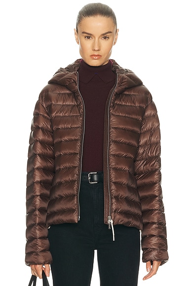 Down Jacket