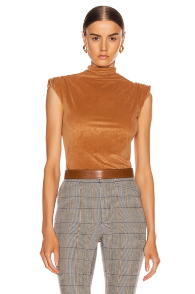 Velvet Sleeveless Turtleneck