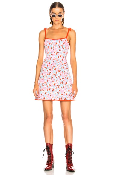 Camisole Dress