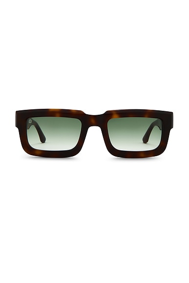 Hustler Sunglasses