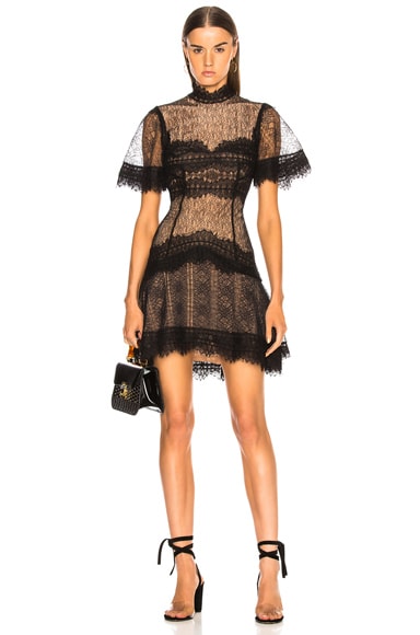Lace Mini Dress