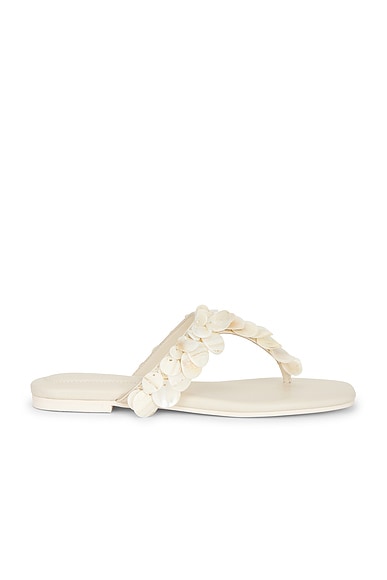 Elin Thong Sandal