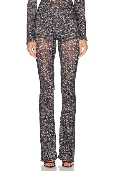 Halcyon Legging