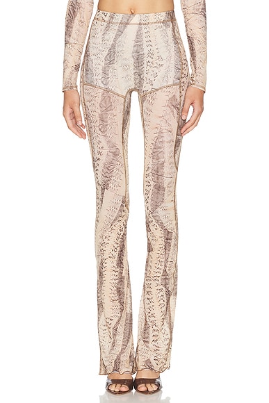 Acne sheer Snake Print Pants