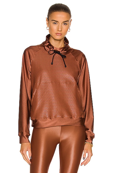 Funnel Shiny Netz Pullover Sweatshirt