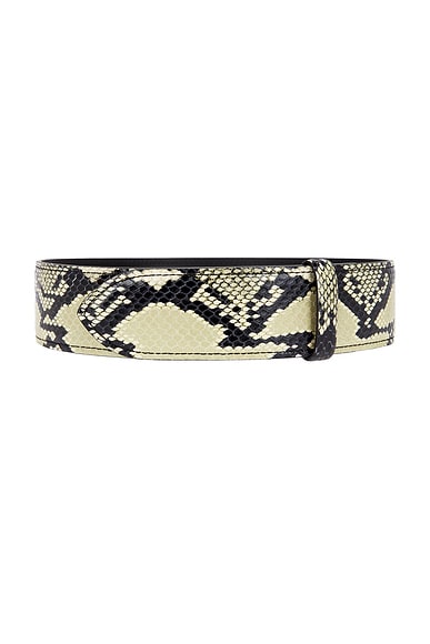 Theo Waist Belt