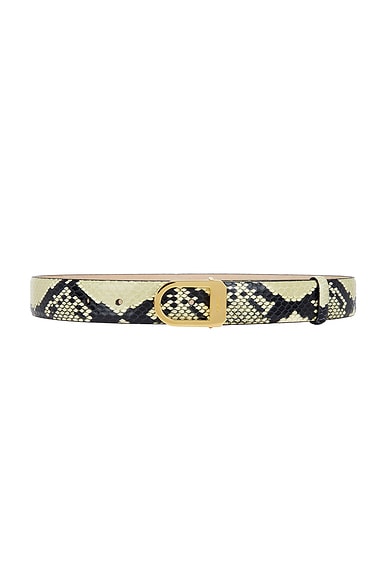 Saddle 30mm Belt