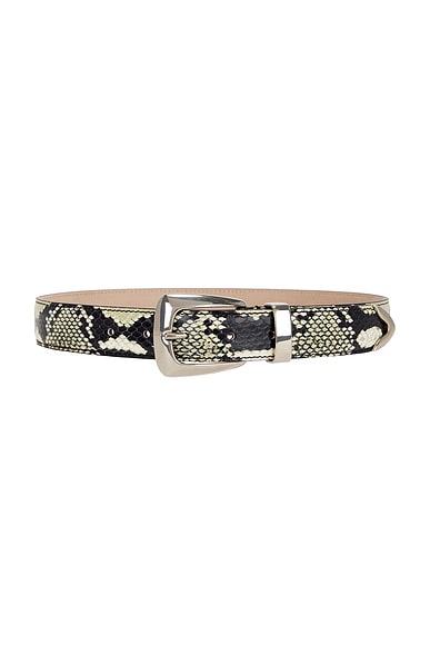 Benny 30mm Belt