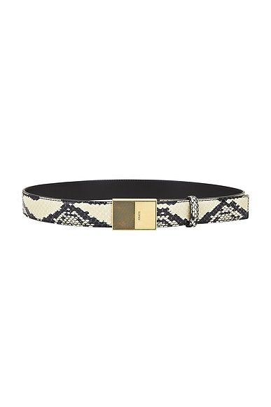 KHAITE Elio 30mm Belt in Natural & Antique Gold & Antique Gold