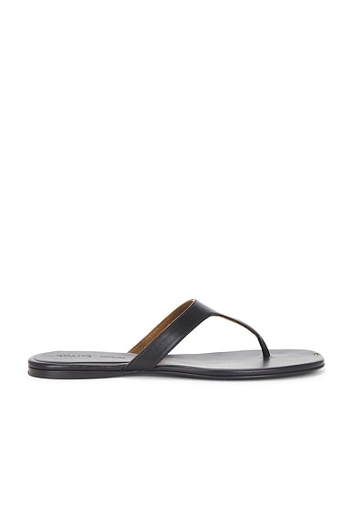 Archer Thong Sandal